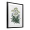 Stupell Industries New Roots Vintage Sketch Framed Print Under Glass, design by Cecilia Battaini